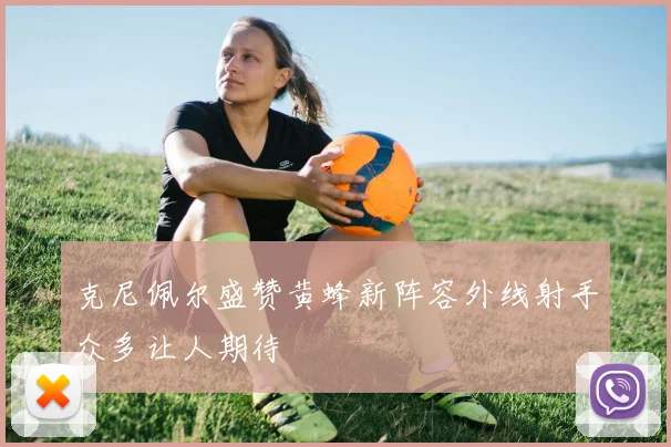 克尼佩尔盛赞黄蜂新阵容外线射手众多让人期待