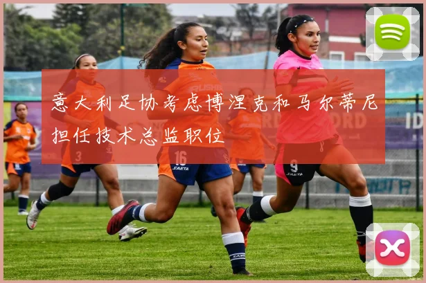 意大利足协考虑博涅克和马尔蒂尼担任技术总监职位