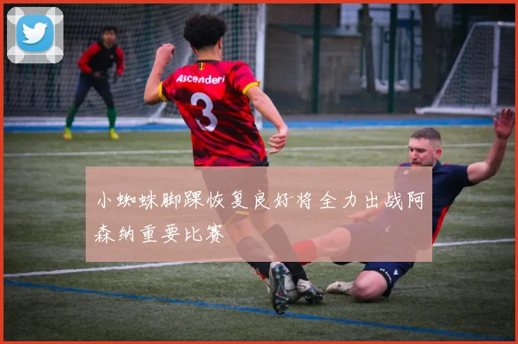 小蜘蛛脚踝恢复良好将全力出战阿森纳重要比赛